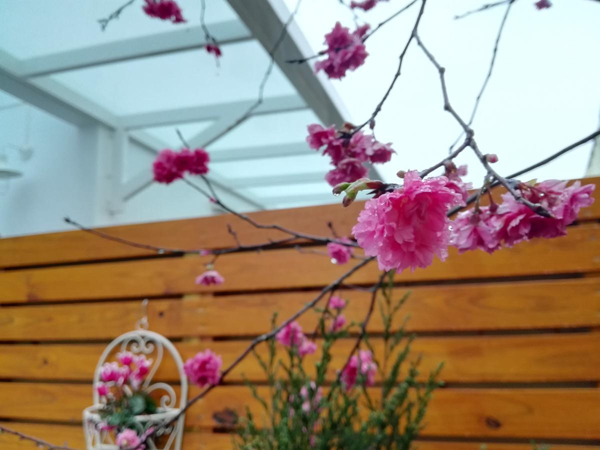 Cloud & Green Private Guest House ผูหลี่ ภายนอก รูปภาพ
